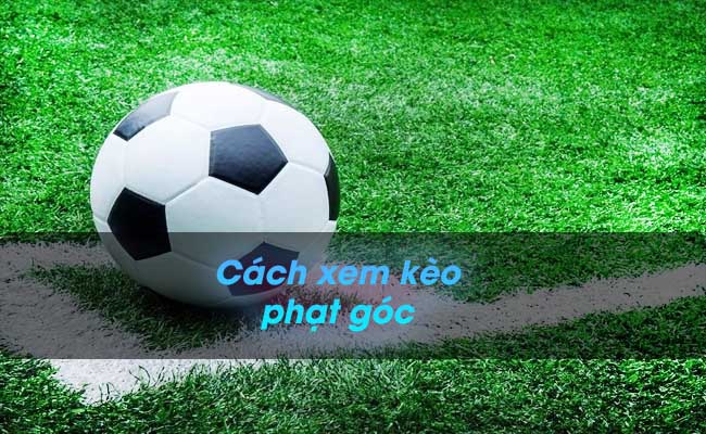 cách xem kèo phạt góc